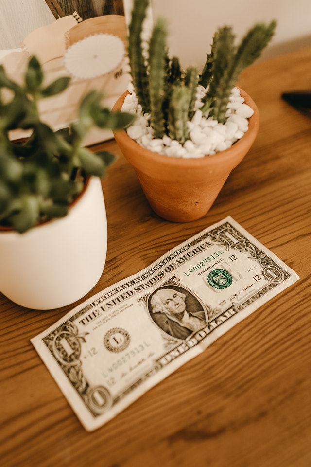 US dollar bill on a table with cactus plant in the background