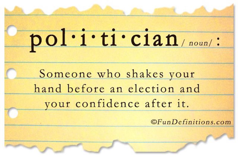 politician definition