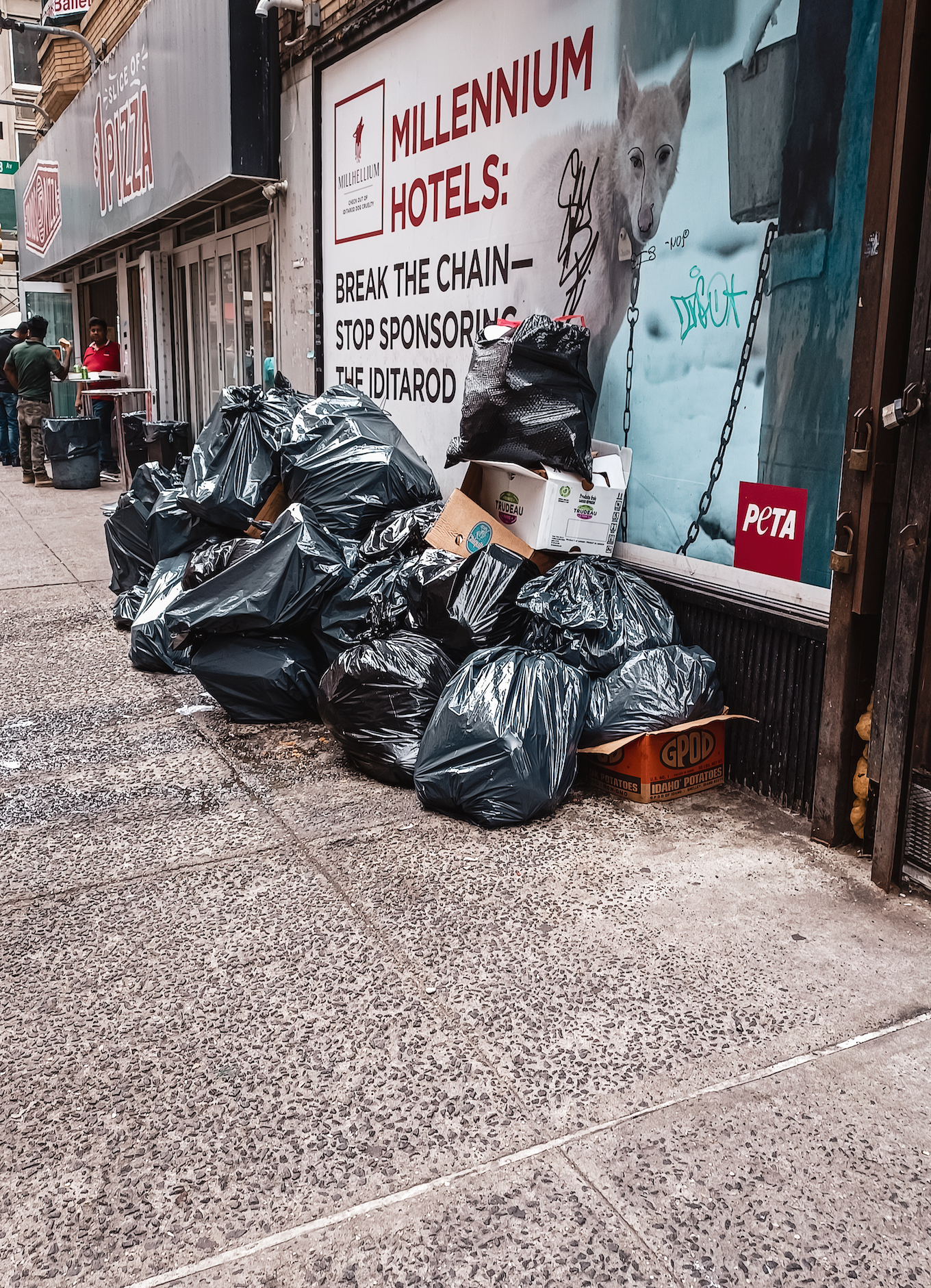 Mounting heaps of garbage are just some of the reasons I hate New York City.