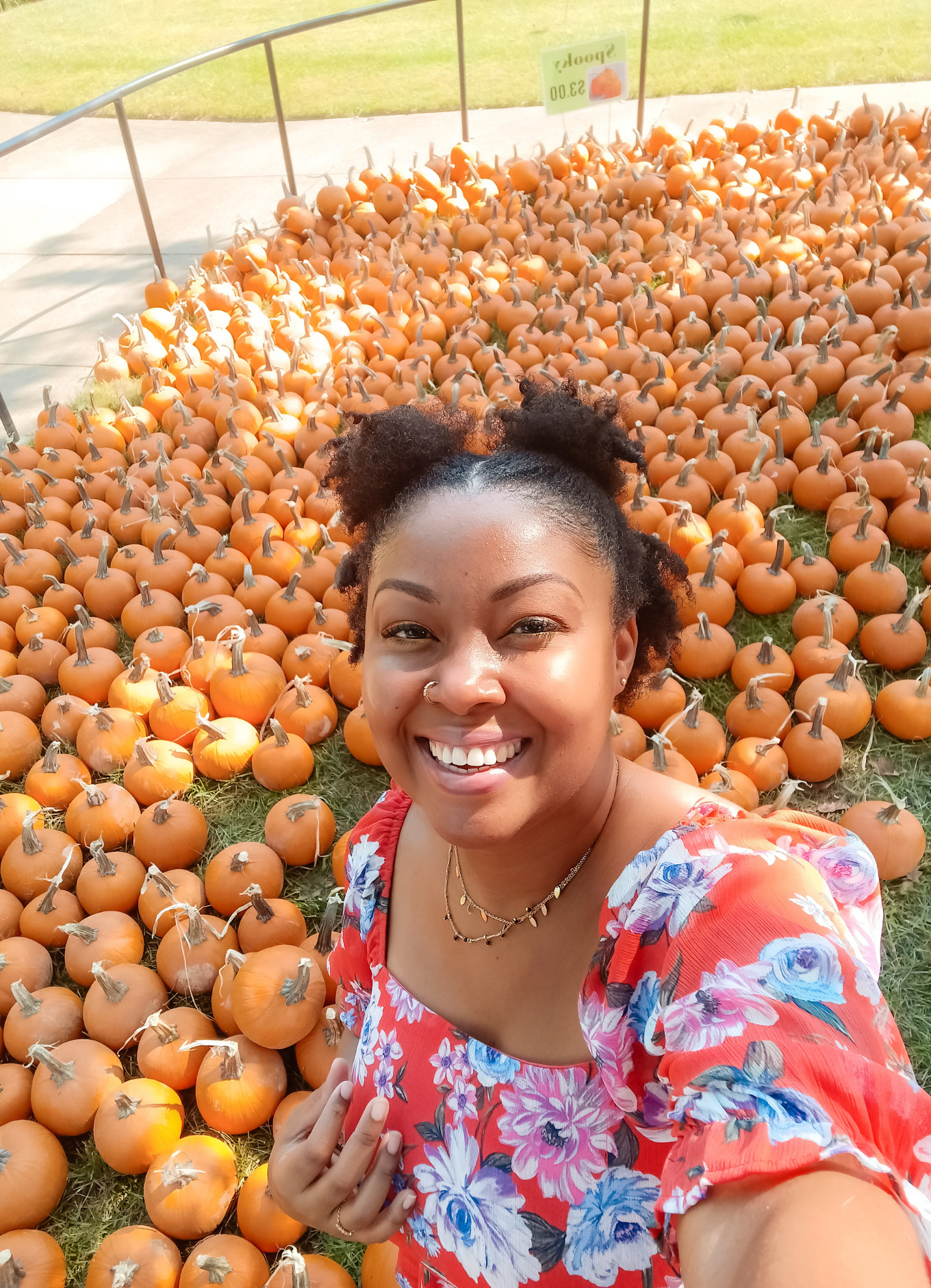 This Bahamian Gyal blogger, Rogan Smith poses in front of dozens of pumpkins