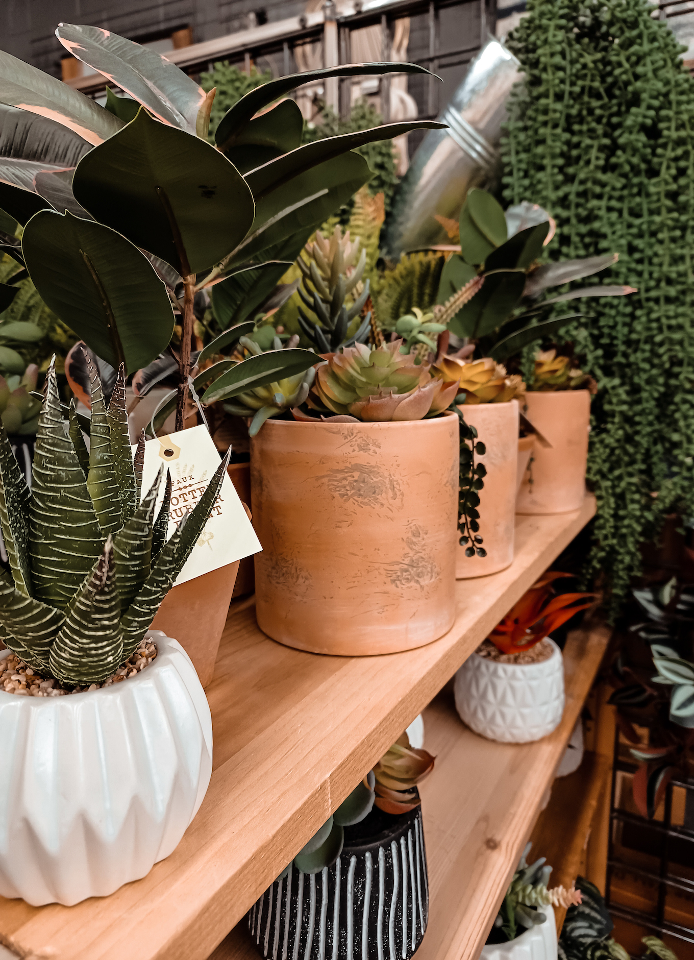 Artificial plants in pots on shelf World Market
