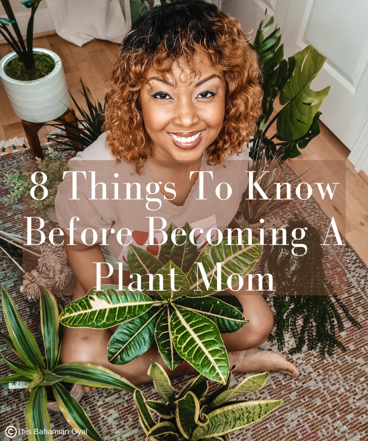 8 Important Things To Know Before Becoming A Plant Mom