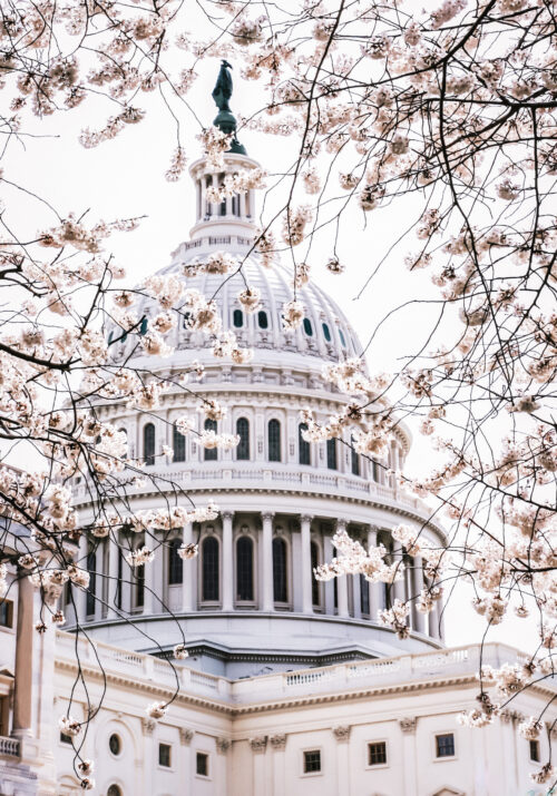 US Capitol Building Washington DC Photo by Lea Bonzer