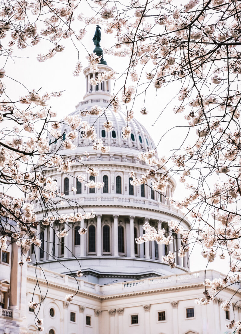 US Capitol Building Washington DC Photo by Lea Bonzer
