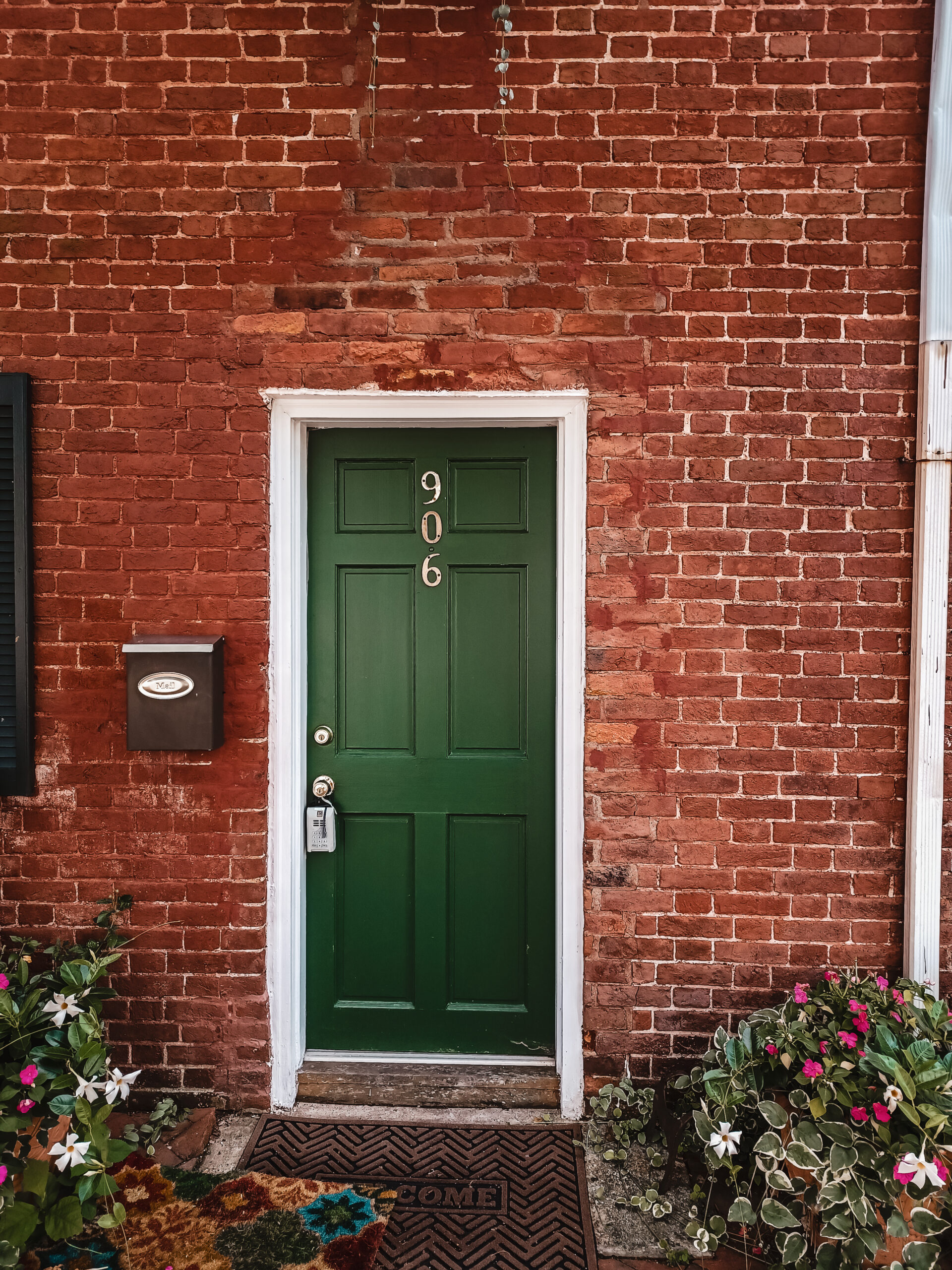 Alexandria Virginia home with green door