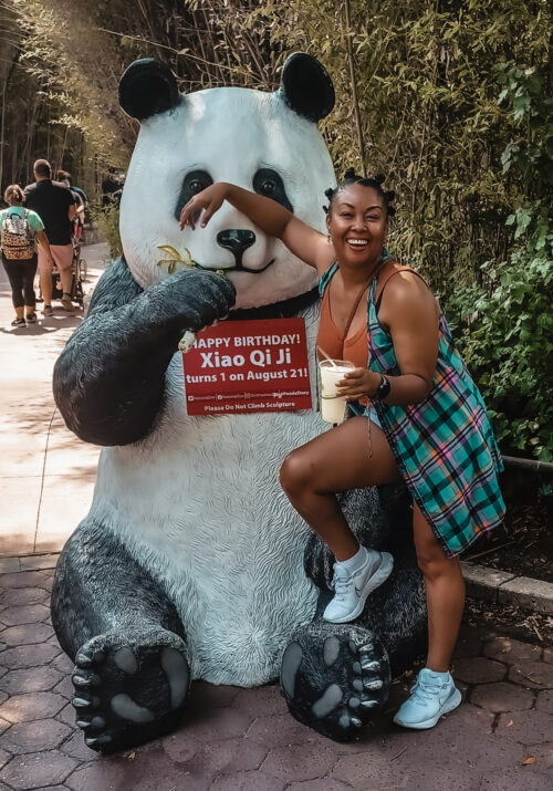Photo of Giant Panda Xiao Qi Ji Washington DC National Zoo and This Bahamian Gyal blogger, Rogan Smith
