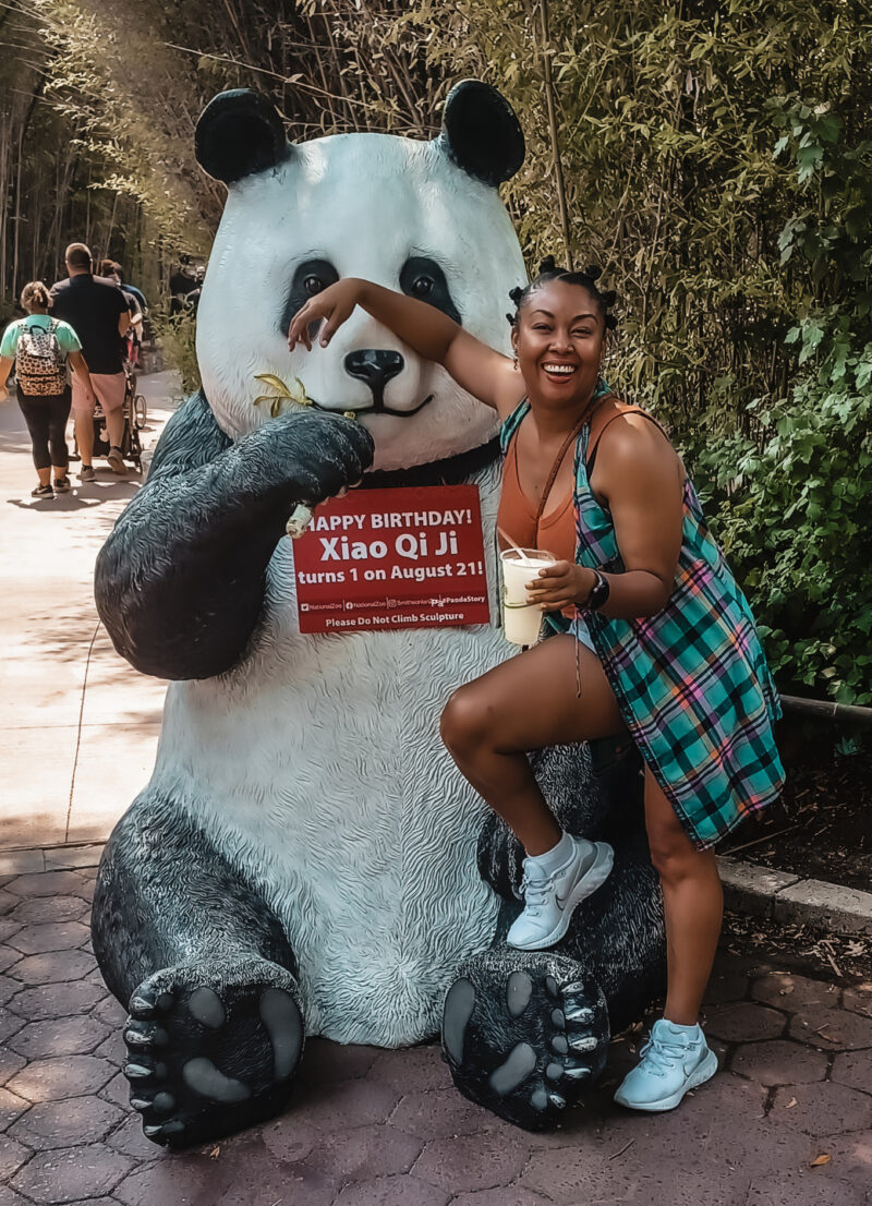 Photo of Giant Panda Xiao Qi Ji Washington DC National Zoo and This Bahamian Gyal blogger, Rogan Smith