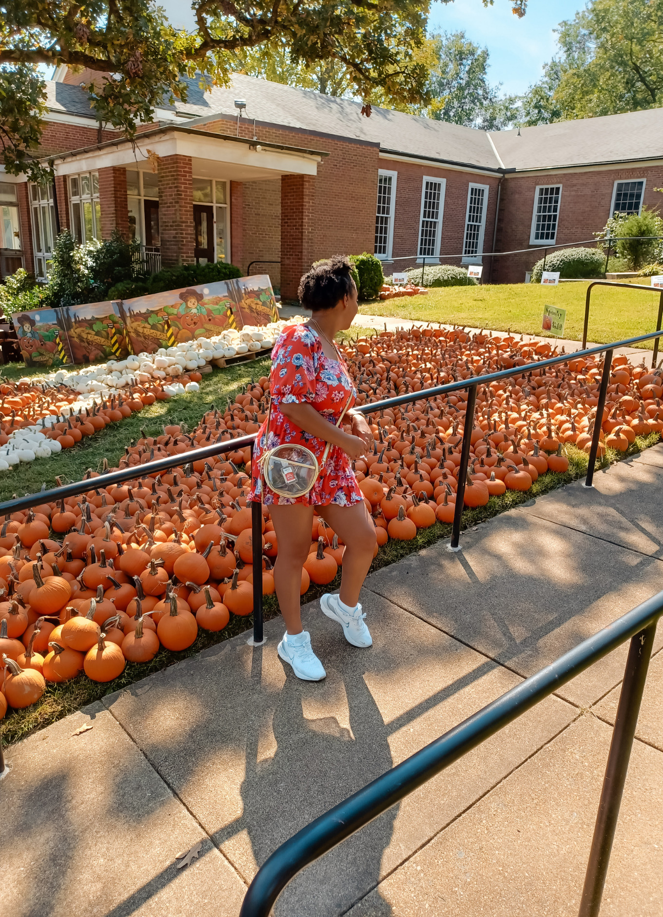 black female blogger poses near pumpkins in Alexandria, Virginia
