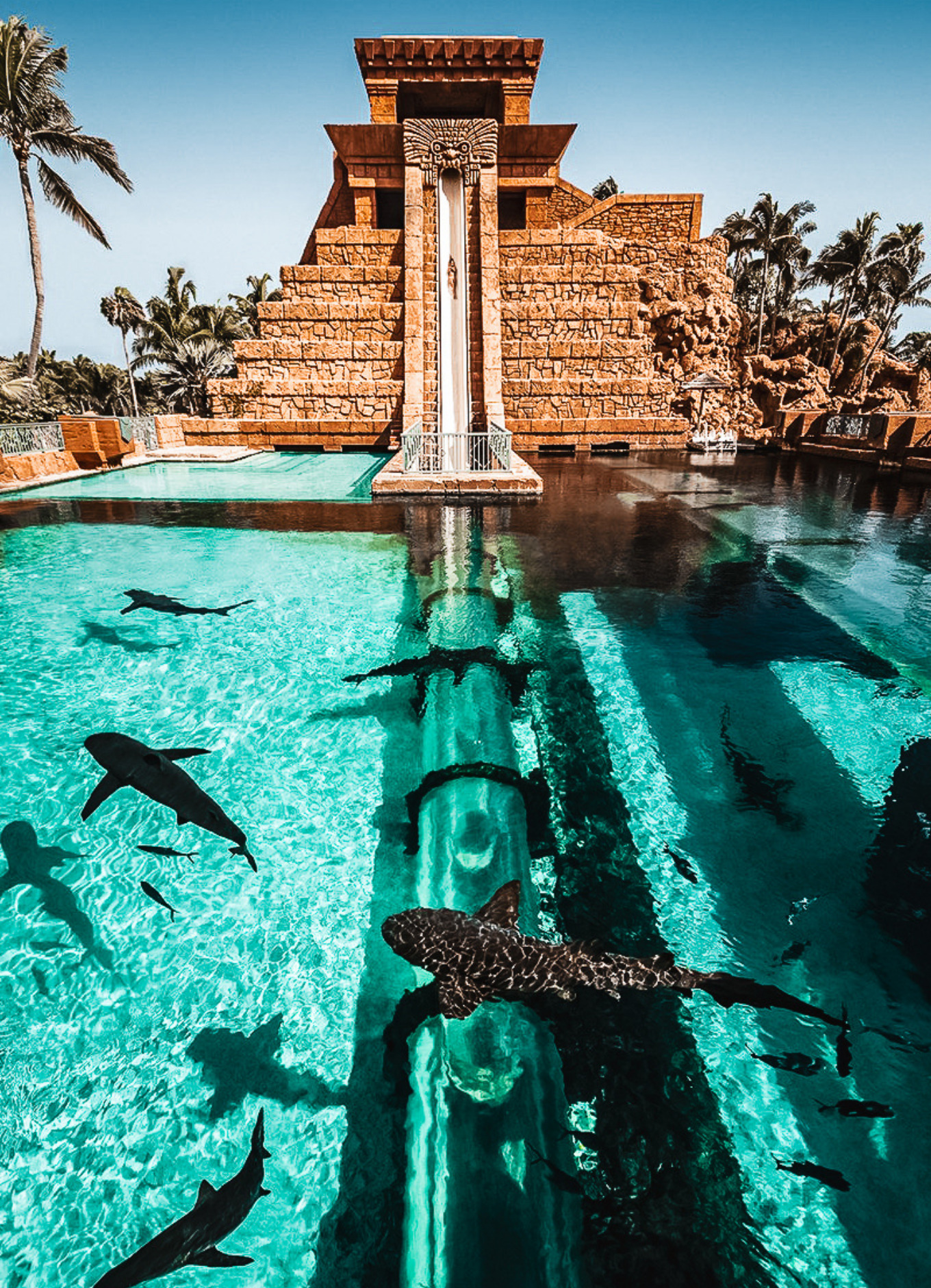Atlantis' Leap of Faith Slide at its Aquaventure water theme park.
