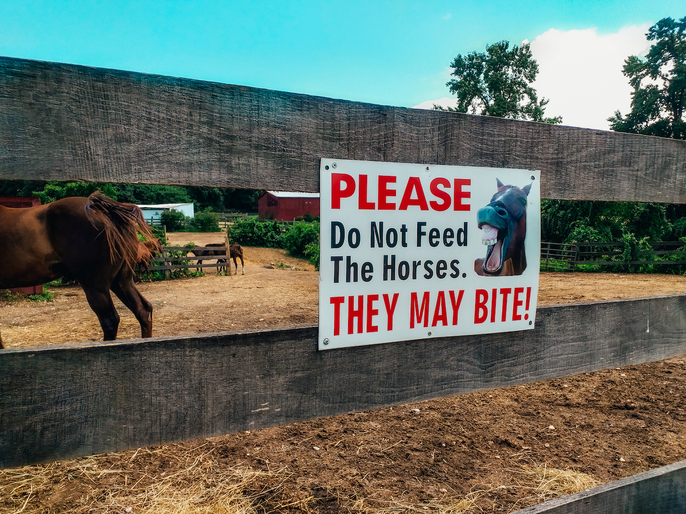 A Piscataway Farm sign warns riders not to feed the horses as they may bite