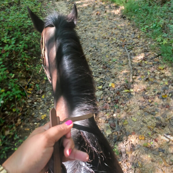 My Horseback Riding Adventure In Maryland