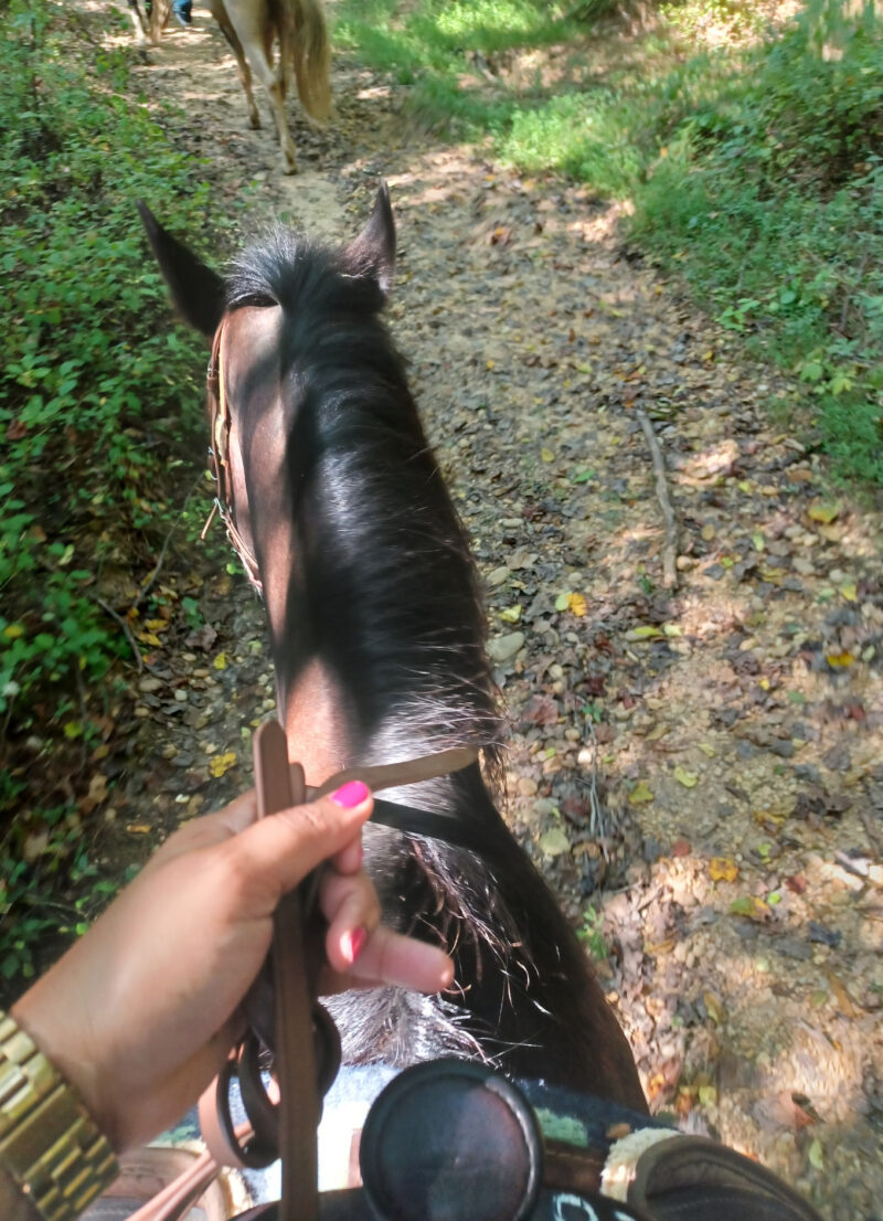 This Bahamian Gyal blogger, Rogan snaps a photo of her horse, Coco