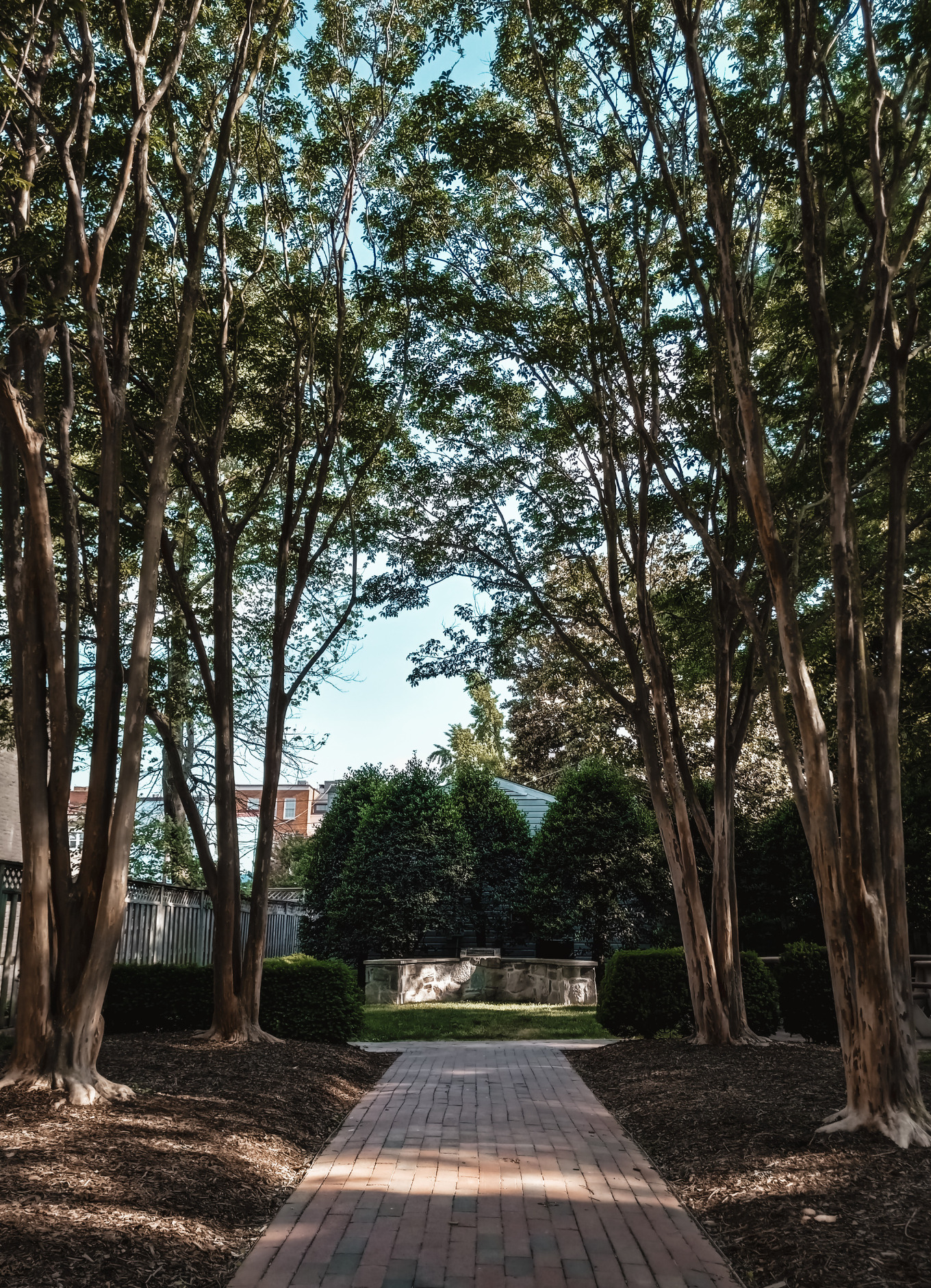 A small serene garden in Georgetown DC.