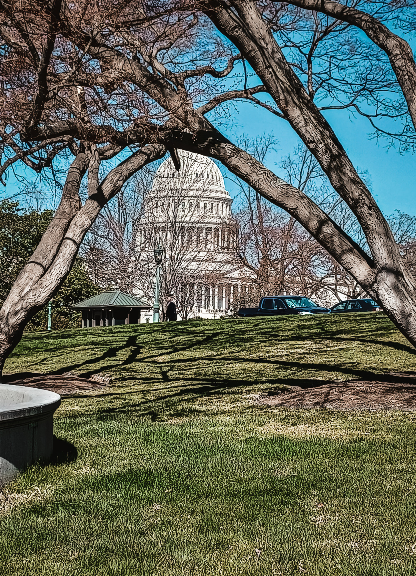 A far away shot of the US Capitol Building is seen behind trees.