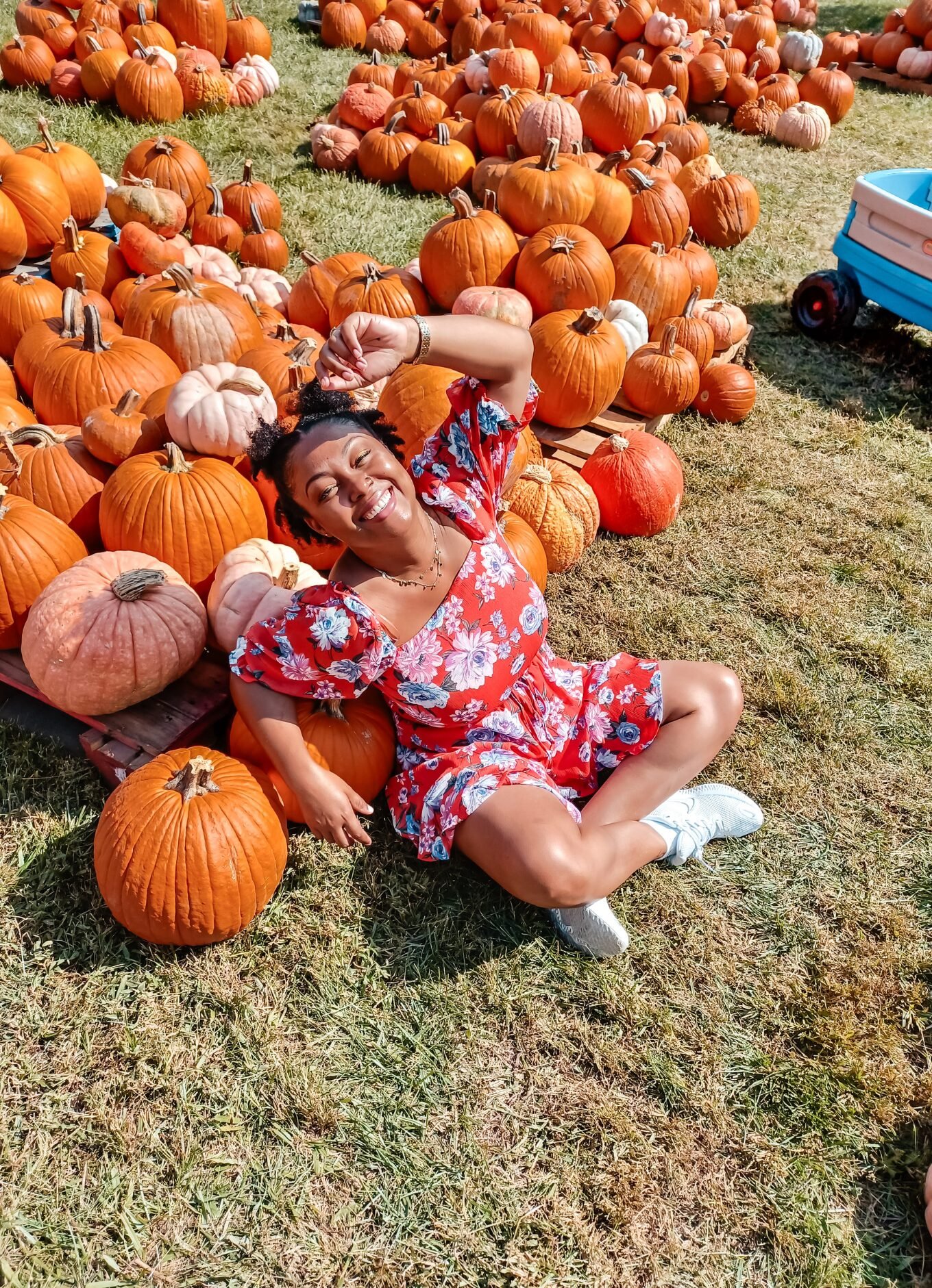 cozy-fall-rituals-pumpkin-patch-this-bahamian-gyal-black-blogger-washington-dc