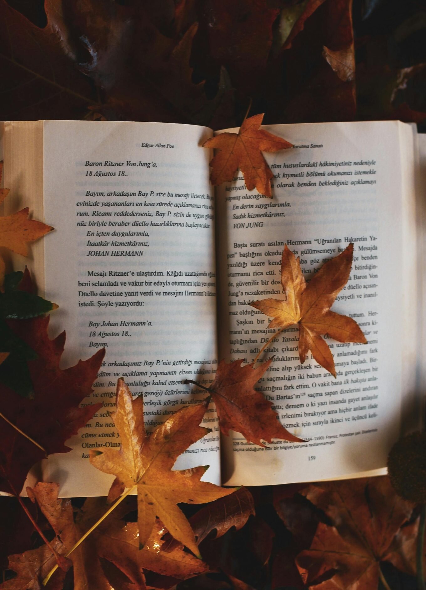 fall-self-care-reading-novel